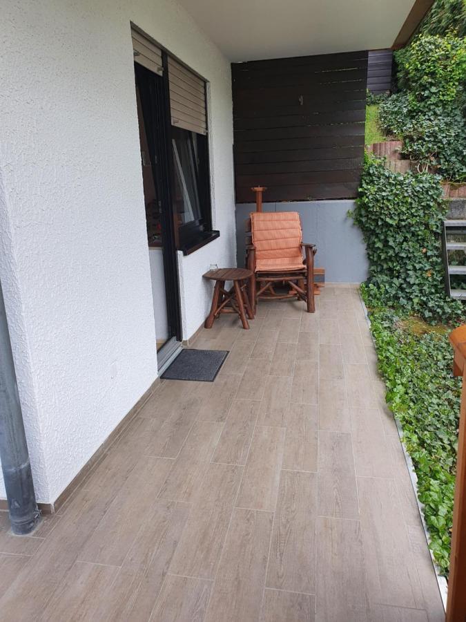 Ferienwohnung Zum Rheinblick Kestert Екстериор снимка
