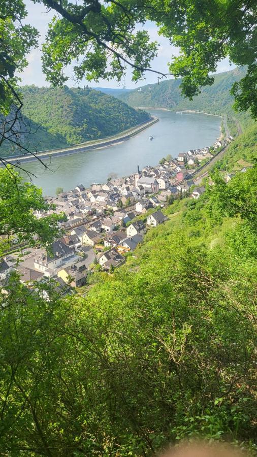 Ferienwohnung Zum Rheinblick Kestert Екстериор снимка