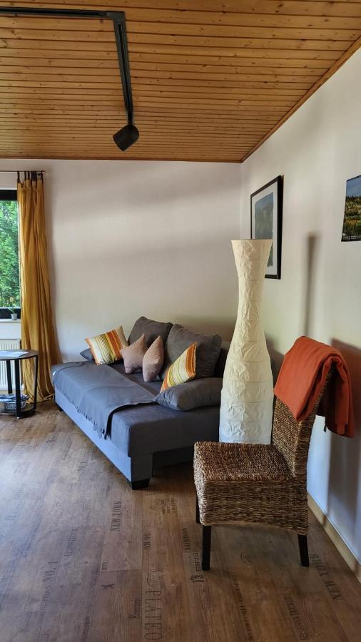 Ferienwohnung Zum Rheinblick Kestert Екстериор снимка