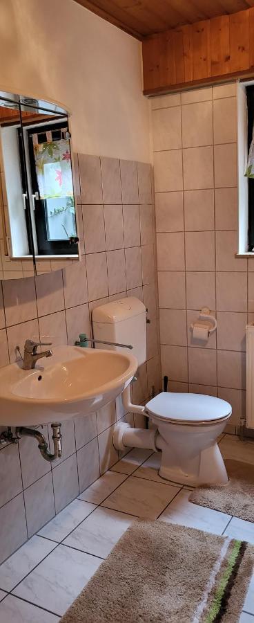 Ferienwohnung Zum Rheinblick Kestert Екстериор снимка