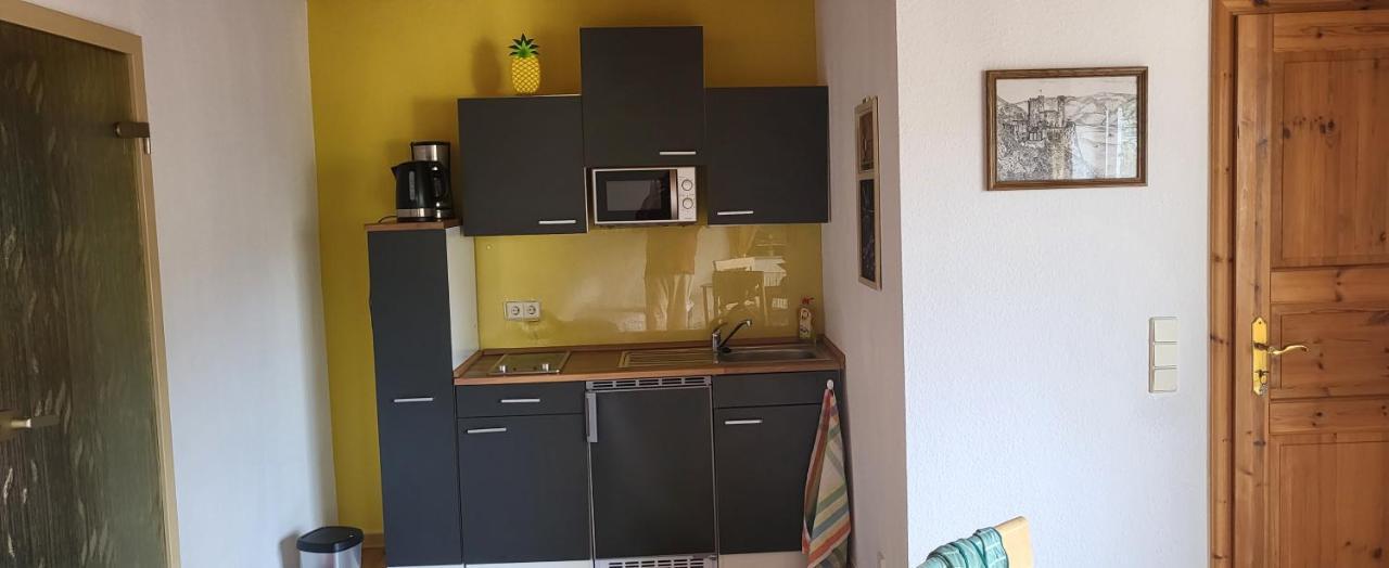 Ferienwohnung Zum Rheinblick Kestert Екстериор снимка