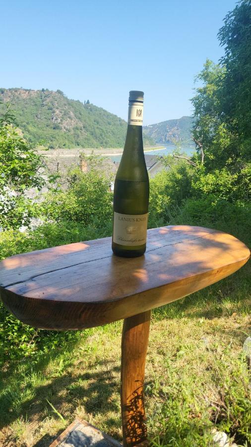 Ferienwohnung Zum Rheinblick Kestert Екстериор снимка